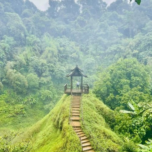 Bolaven Plateau Waterfalls