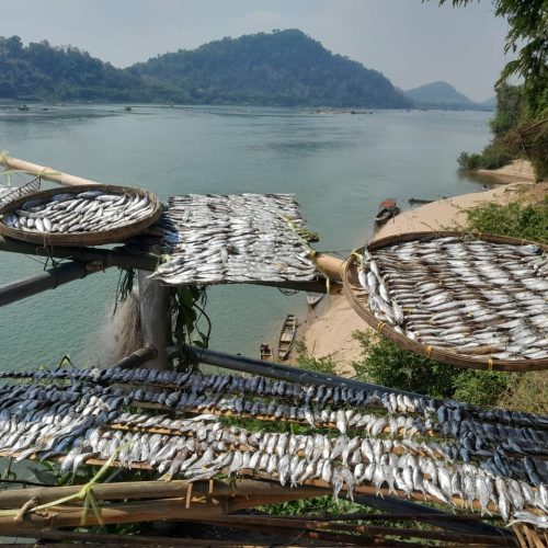 4000 Islands Tour (Si Phan Don)